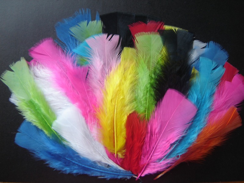 Coloured Feathers For Crafts