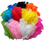 Bulk Craft Feathers - 300 Pack