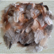 Small Natural Feathers 14g - 200 Pack