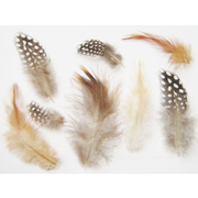 Small Natural Feathers 14g - 200 Pack