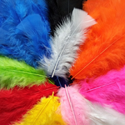Bulk Craft Feathers - 300 Pack