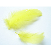 Tiny Yellow Feathers