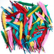 Small Duck Quill Feathers