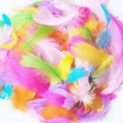 Feathers