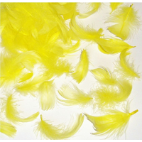 Tiny Yellow Feathers