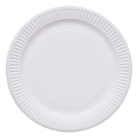 White Paper Plates