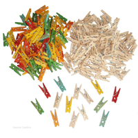 Wooden Mini Pegs