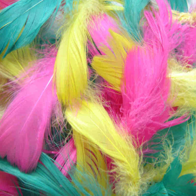 Small Feathers for Children's Crafts