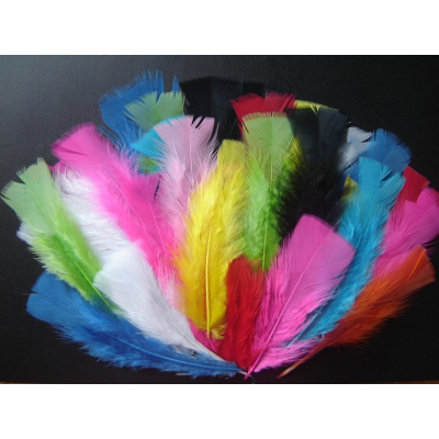 Coloured Feathers For Crafts