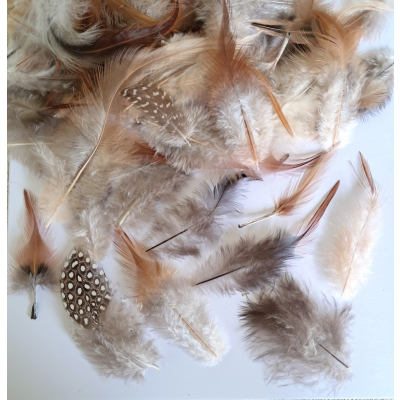 Small Natural Feathers 14g - 200 Pack