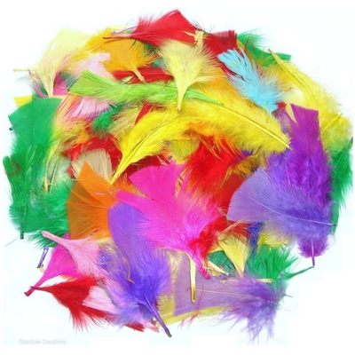 Mixed Small Craft Feathers