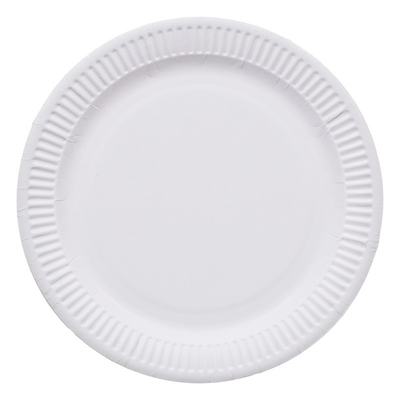 White Paper Plates