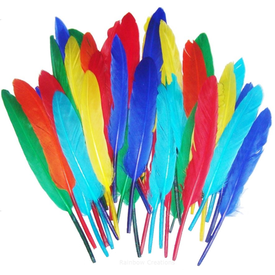 Small Duck Quill Feathers